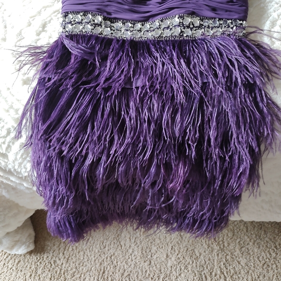 Beautiful feather and Rhinestone Dress - Picture 2 of 11